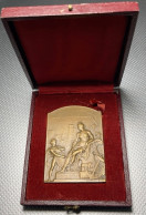 Delcampe - La Rochelle – Conseil Municipal – 14 Avril 1972 – Piscine Des Parcs – Prud’homme – Bronze - Ohne Zuordnung