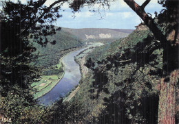 Delcampe - 8 REVIN LA MEUSE - Revin