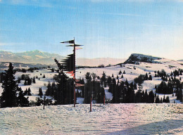 Delcampe - 1 MONTS JURA TELESIEGE METABIEF MONT D OR - Sin Clasificación