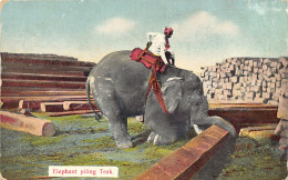 Delcampe - MYANMAR Burma - Elephant Piling Teak - Publ. D. A. Ahuja 111 - Myanmar (Burma)