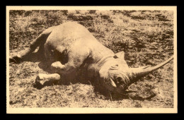 Delcampe - MISSIONS - PERES DU ST-ESPRIT - AFRIQUE ORIENTALE-  LE RHINOCEROS A DOUBLE CORNE - Missionen