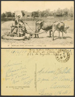Delcampe - Egypt 1928 Old Postcard A Norag Cattle & Farmer Threshing Wheat In Field L.L. 46 - Sonstige & Ohne Zuordnung