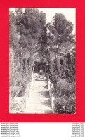 Delcampe - E-Espagne-233P RAIXA, Le Grand Escalier Qui Mène à La Statue, Vue Sur Les Jardins, Type Photo BE - Mallorca