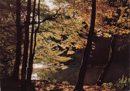 Delcampe - 87 SAINT SULPICE LES FEUILLES CAMPAGNE PITTORESQUE - Saint Sulpice Les Feuilles