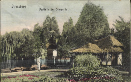 Delcampe - CPA Strassburg Partie In Der Orangerie - Strasbourg