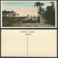 Delcampe - Egypt Old RP Postcard Shepherd Driving Homeward Sheep Goats Palm Trees, Bookmark - Sonstige & Ohne Zuordnung