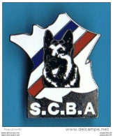 Delcampe - PIN'S //  ** S.C.B.A. / SOCIÉTÉ DU CHIEN DE BERGER ALLEMAND ** - Tiere