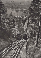Delcampe - Schweiz Zug Zugerberg Standseilbahn Bergpanorama Zugersee Affranchiert #SCE452 - Zug