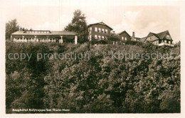 Delcampe - Thale Harz Berghotel Rosstrappe - Thale