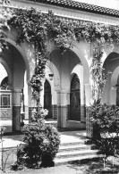 Delcampe - CPSM Institut Musulman-Mosquée De Paris-Petit Patio Sur Cour D'honneur      L4903 - Autres Monuments, édifices