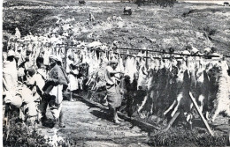 Delcampe - FORT NATIONAL. BOUCHERIE KABYLE. - Alger