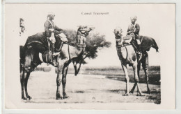 Delcampe - Camel Transport, Stempel Bombay - Indien