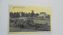 Delcampe - CORBION SUR SEMOIS Hôtel Des Ardennes Carte Postale Postcard - Bouillon