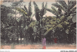 Delcampe - AHZP10-ASIE-0887 - BANANA TREE - SINGAPORE - Singapur