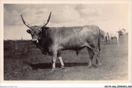Delcampe - AICP2-ASIE-0157 - HORTOBAGY - Bika - A Steer - Indien