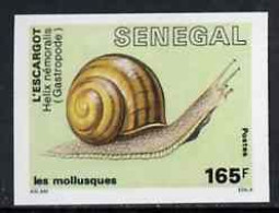 Delcampe - Senegal 1988, Molluscs 165f Banded Snail IMPERFORATED - Senegal (1960-...)