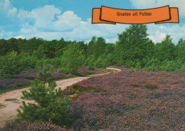 Delcampe - Nederland Putten Heide Landschap Met Zandpad Verstuurd #SCT219 - Putten