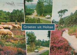 Delcampe - Nederland Holten Heide Landschap Met Schapen En Boswegen Afgestempeld #SCT207 - Holten