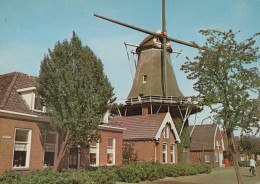 Delcampe - Nederland Hoogeveen Windmolen Huizen En Landschap Afgestempeld 1972 #SCT203 - Hoogeveen