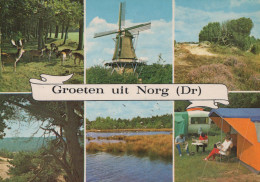 Delcampe - Nederland Norg Landschappen Molen Kamperen Oblitereerde Ansichtkaart #SCT200 - Norg