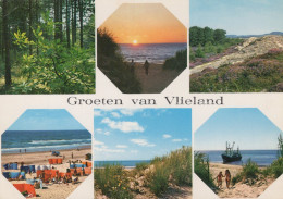 Delcampe - Nederland Vlieland Eilandlandschappen Strand Duinen Bos Geadresseerd #SCT188 - Vlieland