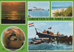 Delcampe - Nederland Ameland Panoramisch Uitzicht Strand Veerboot Zeehond #SCT184 - Ameland