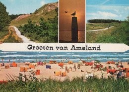 Delcampe - Nederland Ameland Duinen Strand Zeegezichten Meeuw Afgestempeld #SCT187 - Ameland
