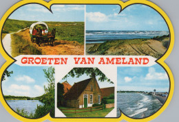 Delcampe - Nederland Ameland Eilandzicht Met Duinen Strand Huis En Unposted #SCT185 - Ameland