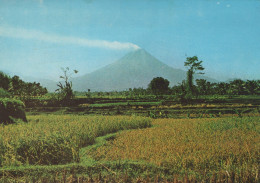 Delcampe - Indonesia Yogyakarta Mount Merapi Volcano Rice Fields Landscape #SCT130 - Indonesien