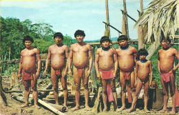 Delcampe - Tribue  Makiritare (officiellement Appelés Les Ye'kuana), Photographiés Dans La Région De Shirijuña Territorio Amazonas - Venezuela