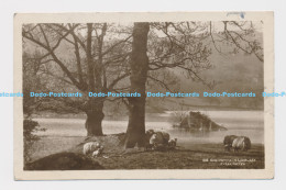 Delcampe - C010332 610. Springtime In Lakeland. Rydal Water. RP. 1934 - Welt