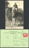 Delcampe - Egypt To Austria 1909 Old Postcard Native Man, Camel With Load Of Fodder L.L. 24 - Ohne Zuordnung