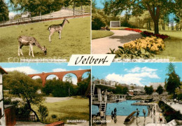 Delcampe - Velbert Herminghauspark Tiergehege Sautalbruecke Sommerbad Am Musikpavillon - Velbert