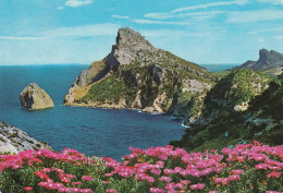 Delcampe - MALLORCA   FORMENTOR - Mallorca