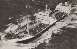 Delcampe - Nederland M S Abida Olietanker Van Shell Tankers Real Photo Unposted #SCX123 - Tanker