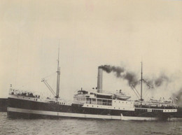 Delcampe - SS Elout Cargo Ship Steamship Old View 1910 Postcard Size Real Photo #SDB145 - Dampfer