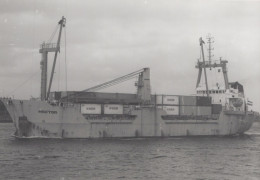 Delcampe - HECTOR KNSM Container Ship Postcard Size Real Photo #SDC404 - Handel