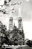 Delcampe - Wien AT Votivkirche Baumbluete - Other & Unclassified