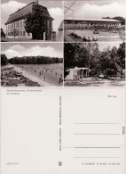 Delcampe - Grimma Thümmlitzwalde: Jagdhaus , Gaststätte, Standbad, Zeltplatz 1982 - Grimma