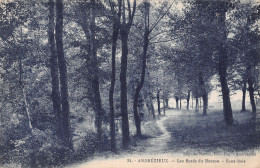 Delcampe - 42-ANDREZIEUX-N°T2946-G/0307 - Andrézieux-Bouthéon