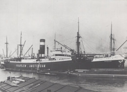 Delcampe - SS Haarlem Cargo Ship 1919 Postcard Size Real Photo #SDK610 - Dampfer