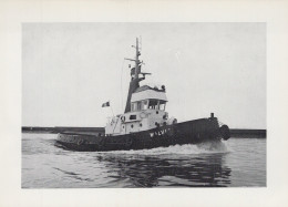 Delcampe - Walvis Motortug 1965 Postcard Size Real Photo #SDK603 - Remorqueurs