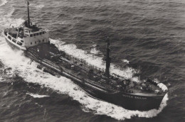 Delcampe - Dutch Sailor Motor Tanker Postcard Size Real Photo #SDK598 - Tanker
