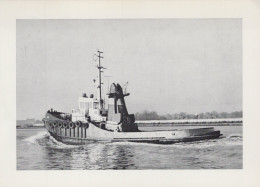 Delcampe - Leie Tugboat 1970 Postcard Size Real Photo #SDK606 - Remorqueurs