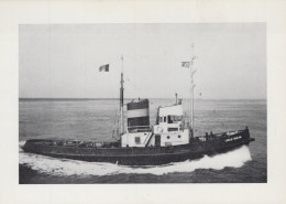 Delcampe - LUCULE GERLING Motortug 1961 Postcard Size Real Photo #SDK605 - Remorqueurs