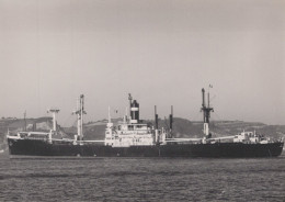 Delcampe - BREDA Cargo Ship Postcard Size Real Photo #SDK491 - Comercio