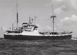Delcampe - Pallas Amsterdam Cargo Ship Postcard Size Real Photo #SDK499 - Comercio