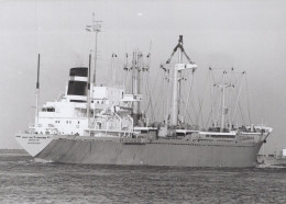 Delcampe - BREDA AMSTERDAM Cargo Ship Postcard Size Real Photo #SDK497 - Comercio