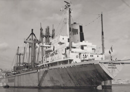 Delcampe - BREDA Cargo Ship Amsterdam Postcard Size Real Photo #SDK495 - Comercio