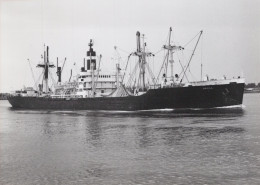 Delcampe - BREDA Cargo Ship Postcard Size Real Photo #SDK493 - Comercio